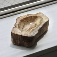 " OAK ” Petrified Wood Accessory Tray - #427