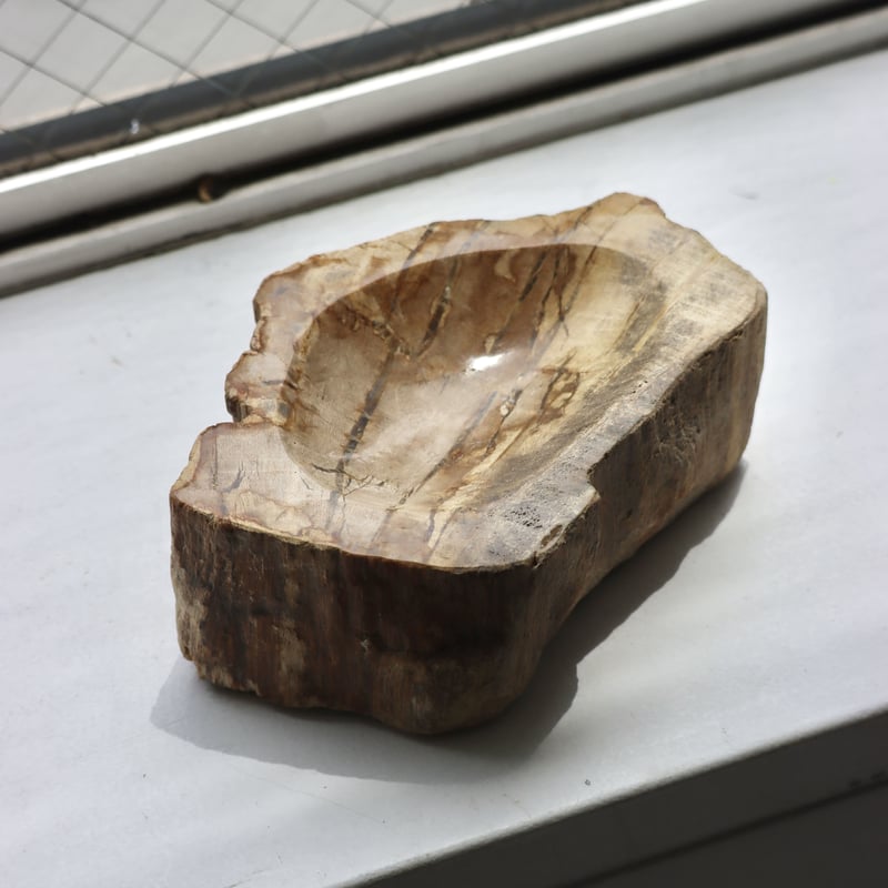 OAK ” Petrified Wood Accessory Tray - S #427