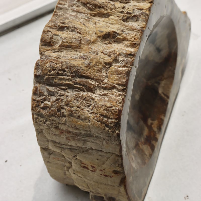 OAK ” Petrified Wood Accessory Tray - S #439