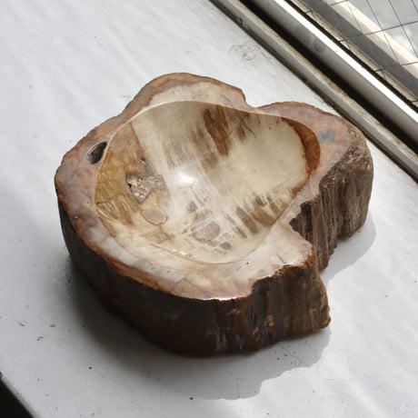 " OAK ” Petrified Wood Accessory Tray - S  #419