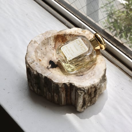 " OAK ” Petrified Wood Accessory Tray - M #418