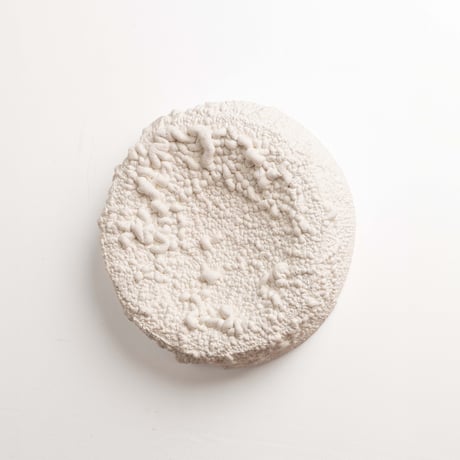 " Ryota Akiyama " Crack and Shrink