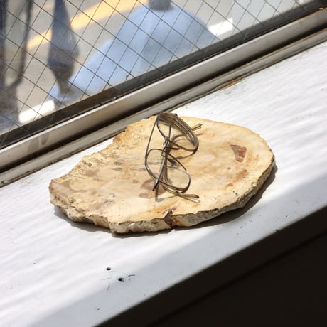 " OAK ” Petrified Wood Plate - S