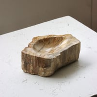 " OAK ” Petrified Wood Accessory Tray - S #427