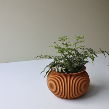 "Sheyn." Zayl 126g Planter - Cinnamon  -
