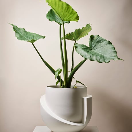 "Light&Ladder" VAYU Ceramic Floor Planter - snow -