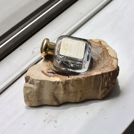 " OAK ” Petrified Wood Accessory Tray - S #442