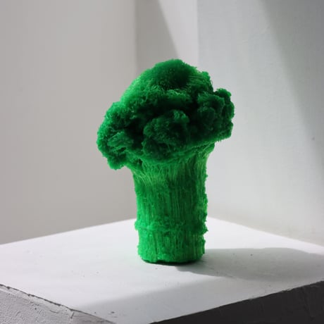 "Tact Inoue" Polybroccoli - M -  301g