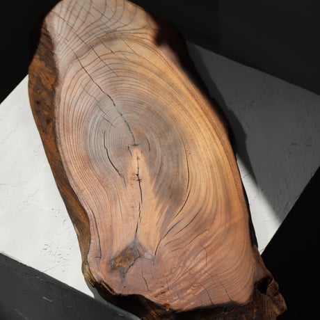 " TORINOKI FURNITURE " Wood Plate - L