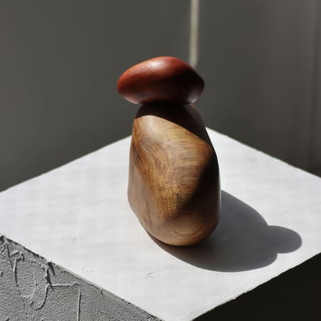 " TORINOKI FURNITURE " Wood Stone - S