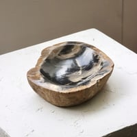 " OAK ” Petrified Wood Accessory Tray - M #401
