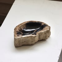 " OAK ” Petrified Wood Accessory Tray - S #437