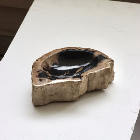 " OAK ” Petrified Wood Accessory Tray - S #437