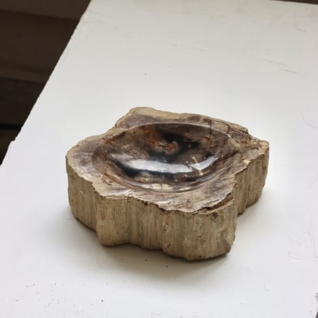 " OAK ” Petrified Wood Accessory Tray - S #446