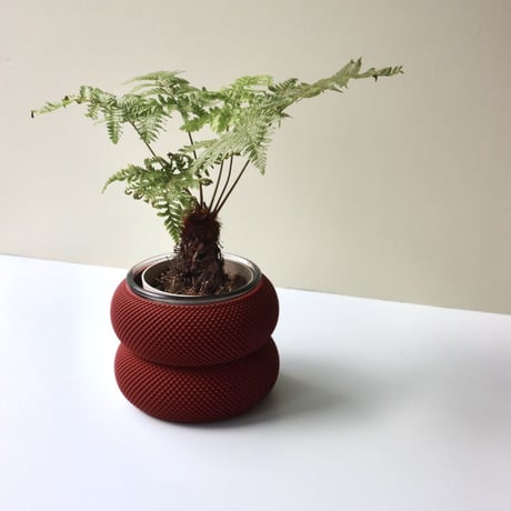 "Sheyn." Dorn 253g 1c Planter - Ruby Red  -