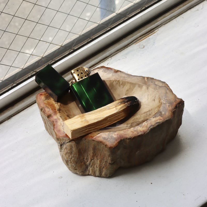 OAK ” Petrified Wood Accessory Tray - S #417