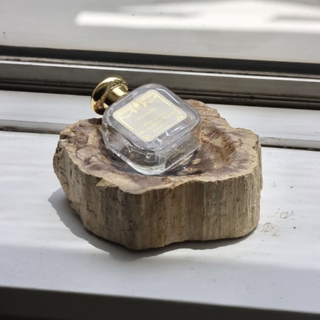 " OAK ” Petrified Wood Accessory Tray - S #446