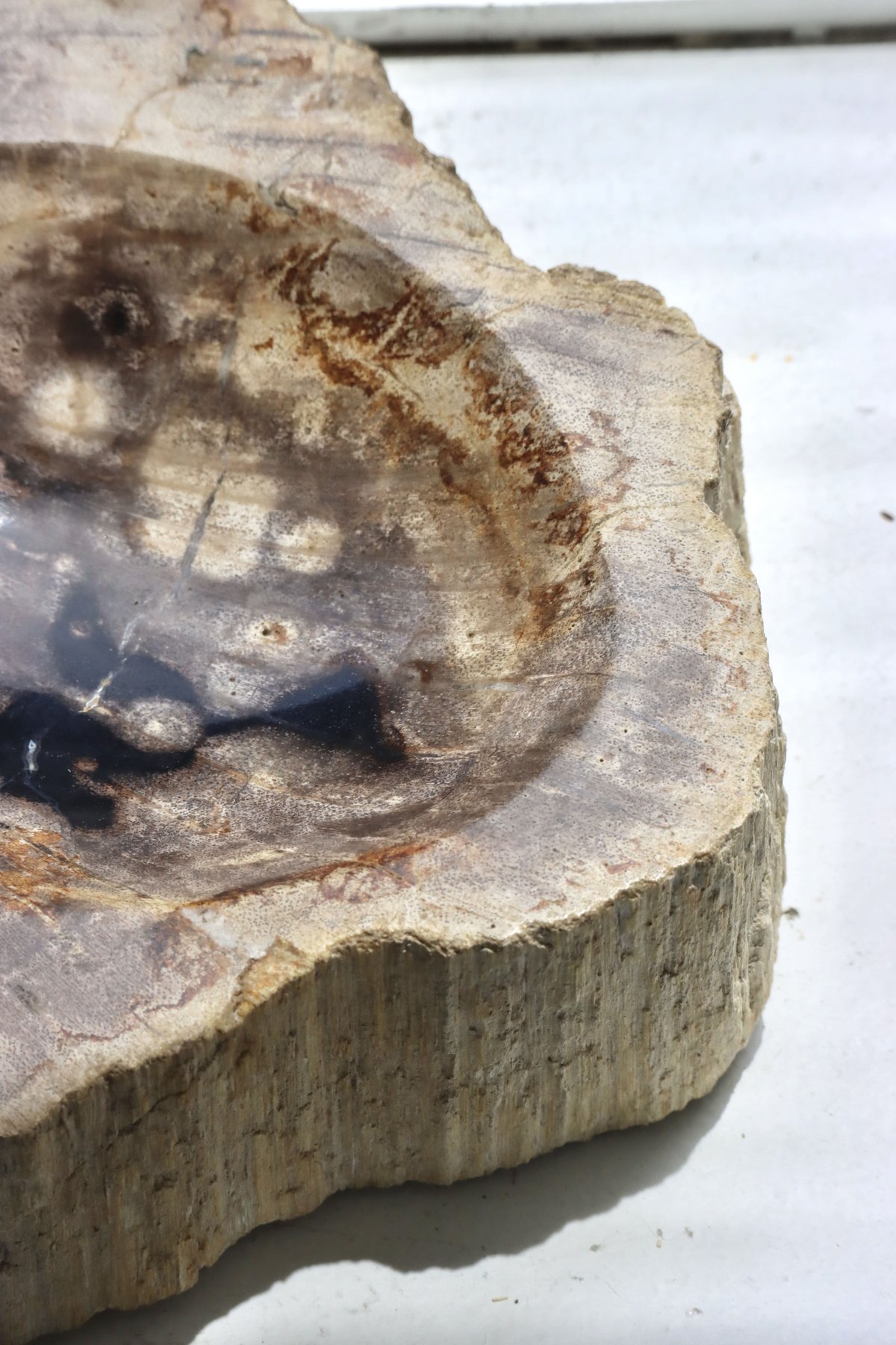 珪化木（けいかぼく / Petrified Wood） 大型トレイ　プレート OAK ” Petrified Wood Accessory Tray - S #446