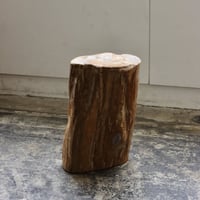 " OAK ” Petrified Wood Stool #004