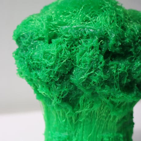 "Tact Inoue" Polybroccoli - M -  237g