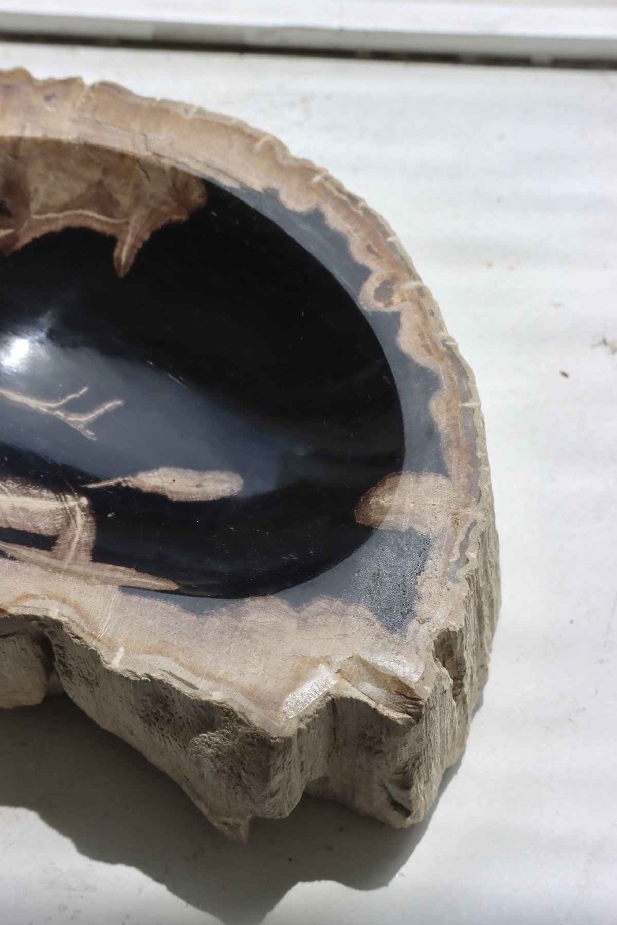 OAK ” Petrified Wood Accessory Tray - S #437