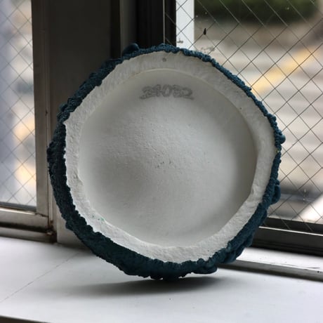 " Ryota Akiyama " Crack and Shrink