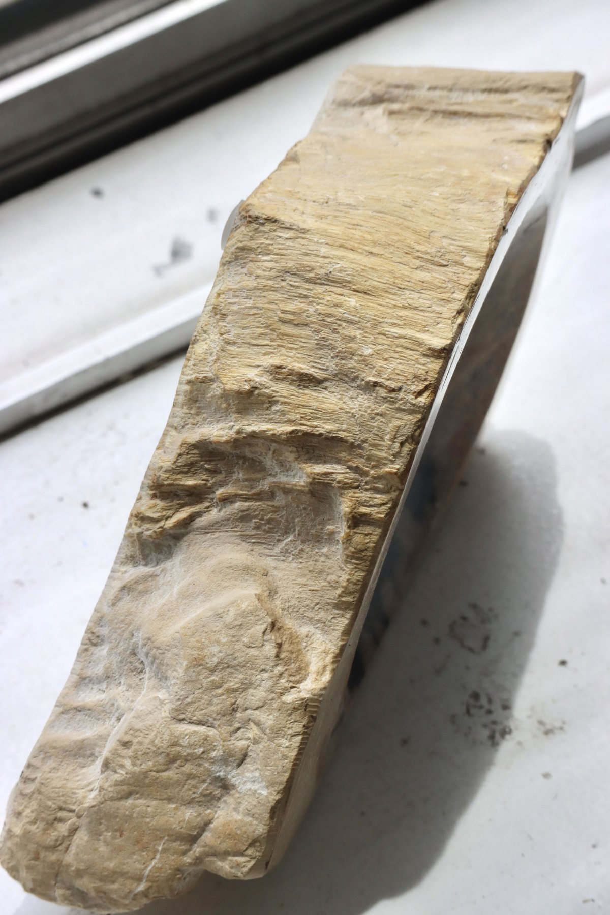 OAK ” Petrified Wood Accessory Tray - S #442