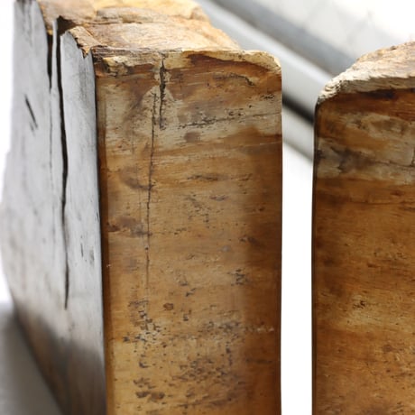 " OAK ” Petrified Wood Bookend - M #004