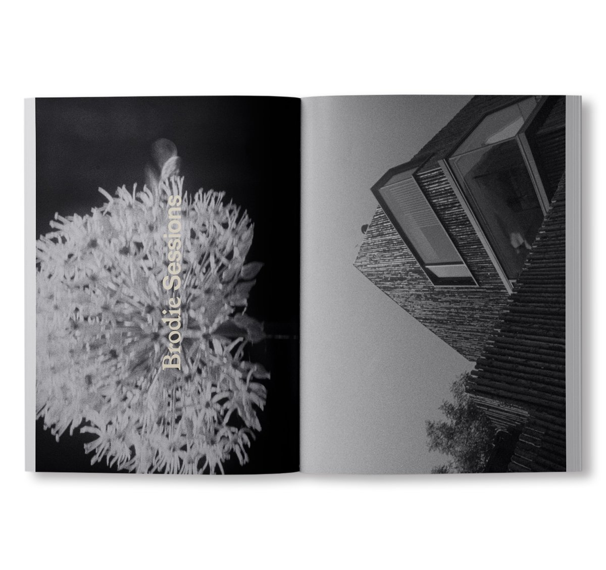 アート・デザイン・音楽 ARK JOURNAL VOLUME III SPRING/2020 ARK JOURNAL 