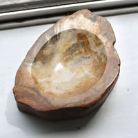 " OAK ” Petrified Wood Accessory Tray - M #402