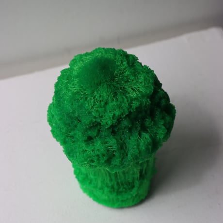 "Tact Inoue" Polybroccoli - M -  202g