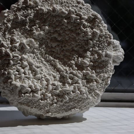 " Ryota Akiyama " Crack and Shrink