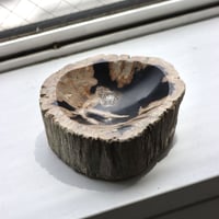 " OAK ” Petrified Wood Accessory Tray - #432