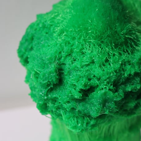 "Tact Inoue" Polybroccoli - L -  434g