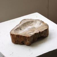 " OAK ” Petrified Wood Accessory Tray - M #404