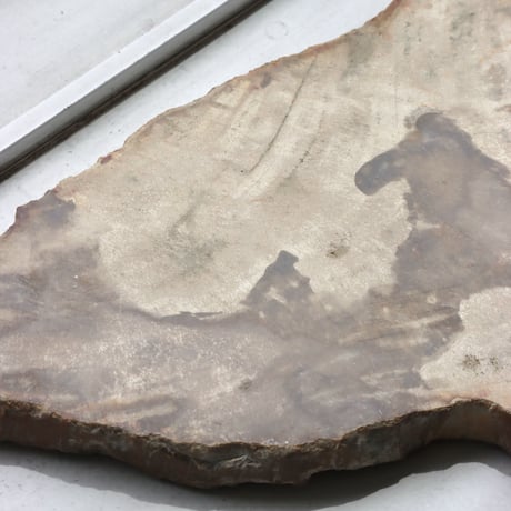 " OAK ” Petrified Wood Plate - S