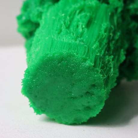 "Tact Inoue" Polybroccoli - M -  362g