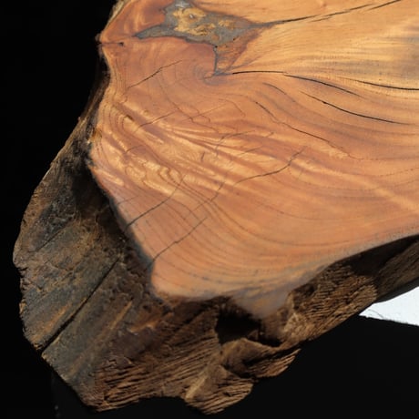 " TORINOKI FURNITURE " Wood Plate - L