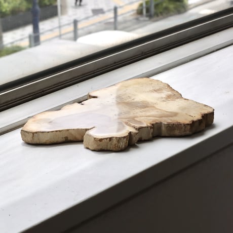 " OAK ” Petrified Wood Plate - S
