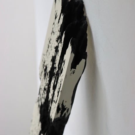 " Daiki Tado " Nature or Nurture