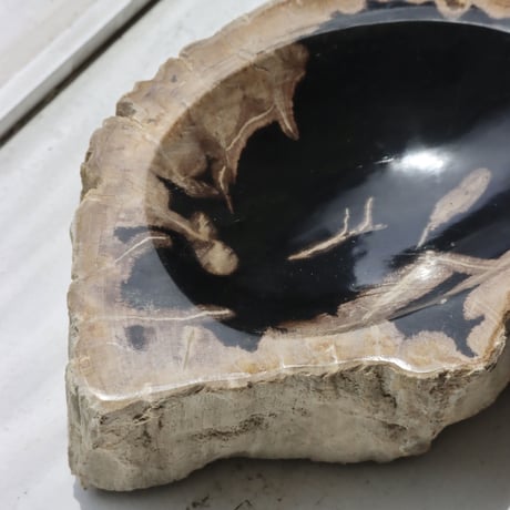 " OAK ” Petrified Wood Accessory Tray - S #437