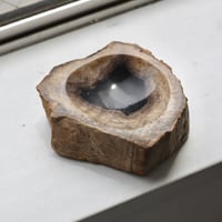 " OAK ” Petrified Wood Accessory Tray - #425