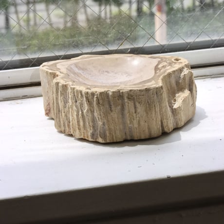 " OAK ” Petrified Wood Accessory Tray - S #431