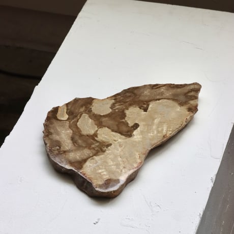 " OAK ” Petrified Wood Plate - S