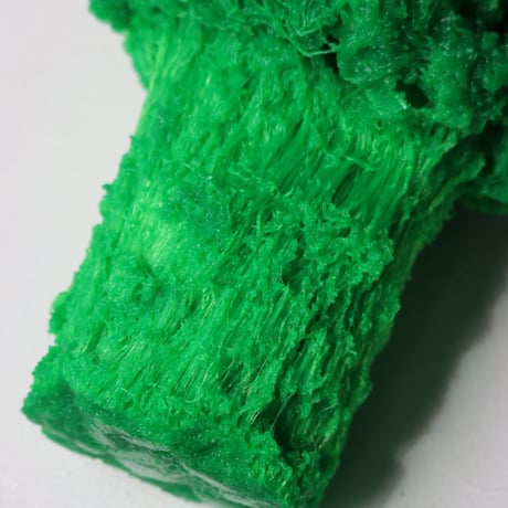 "Tact Inoue" Polybroccoli - M -  383g