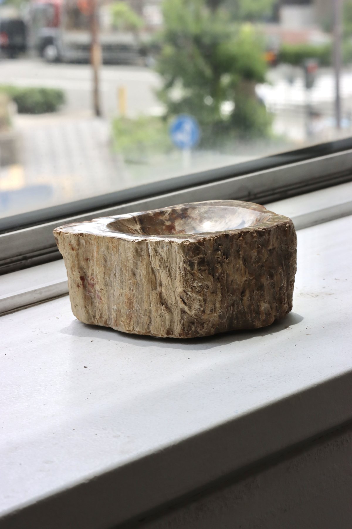 OAK ” Petrified Wood Accessory Tray - S #439