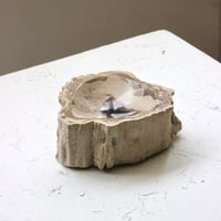 " OAK ” Petrified Wood Accessory Tray -  S #434
