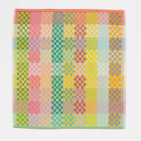 "Foekje Fleur" kitchen towel - checkered check