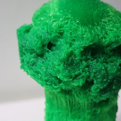"Tact Inoue" Polybroccoli - M -  301g