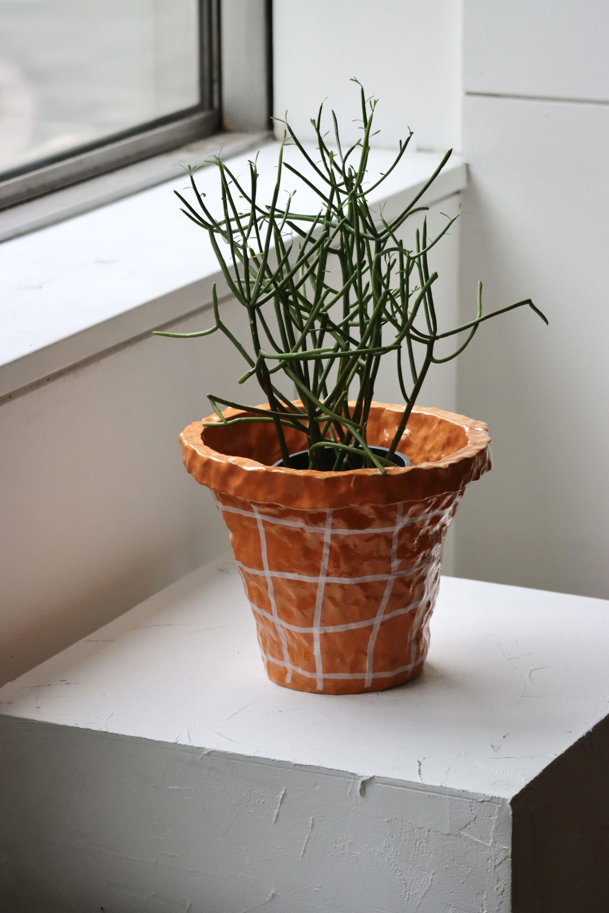 SHOKKI Planter 鉢 SHOKKI